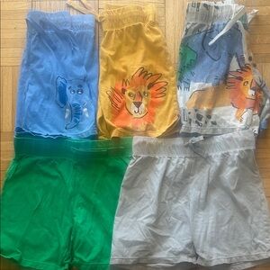 Colorful Animal Print Shorts Set